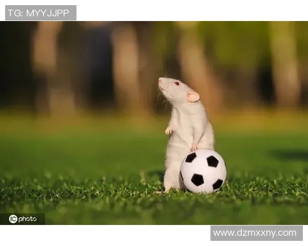 动物界的足球明星盘点从速度到技巧谁是绿茵场上的最佳选手